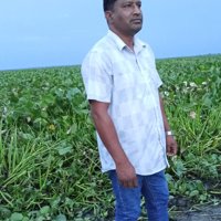 প্রোফাইল ছবি